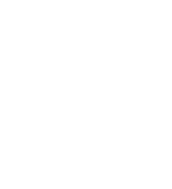 Housing Developer